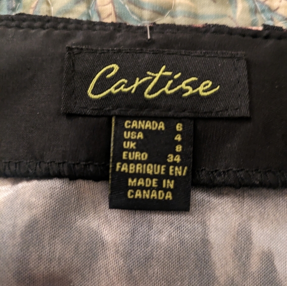 Cartise Skirt, size 4 - Picture 5 of 7